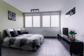 Le 48 Confortable studio pour pros avec parking privé